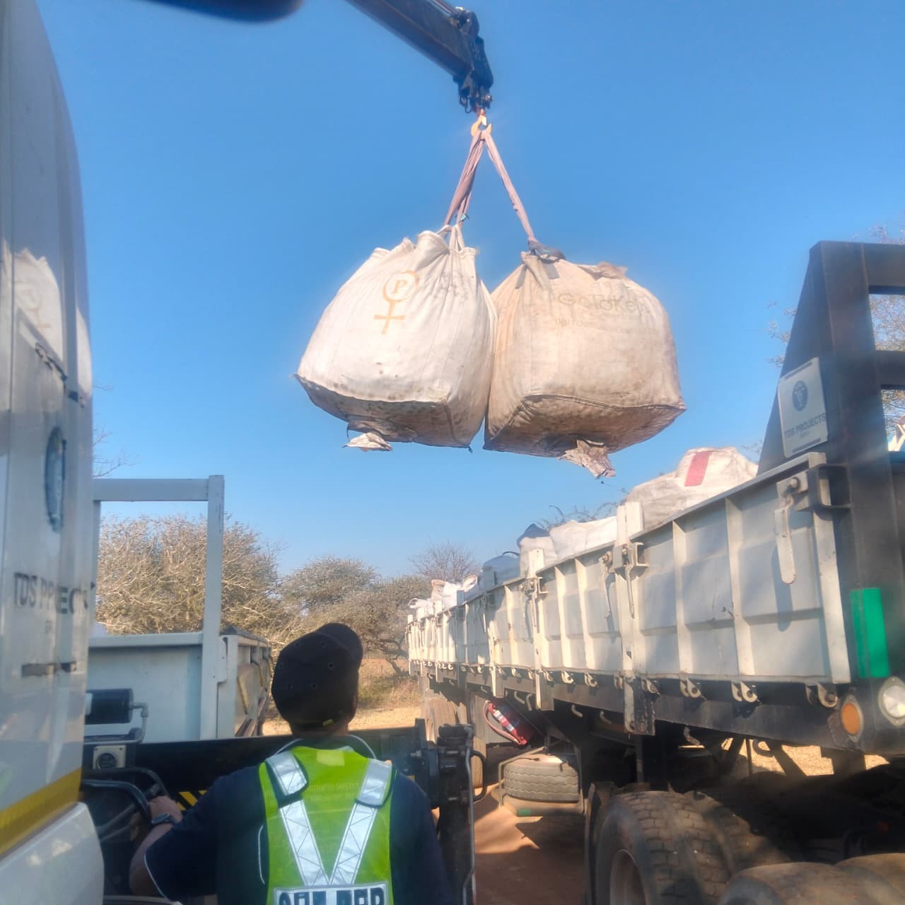 Fresh naartjies from a local Limpopo farm