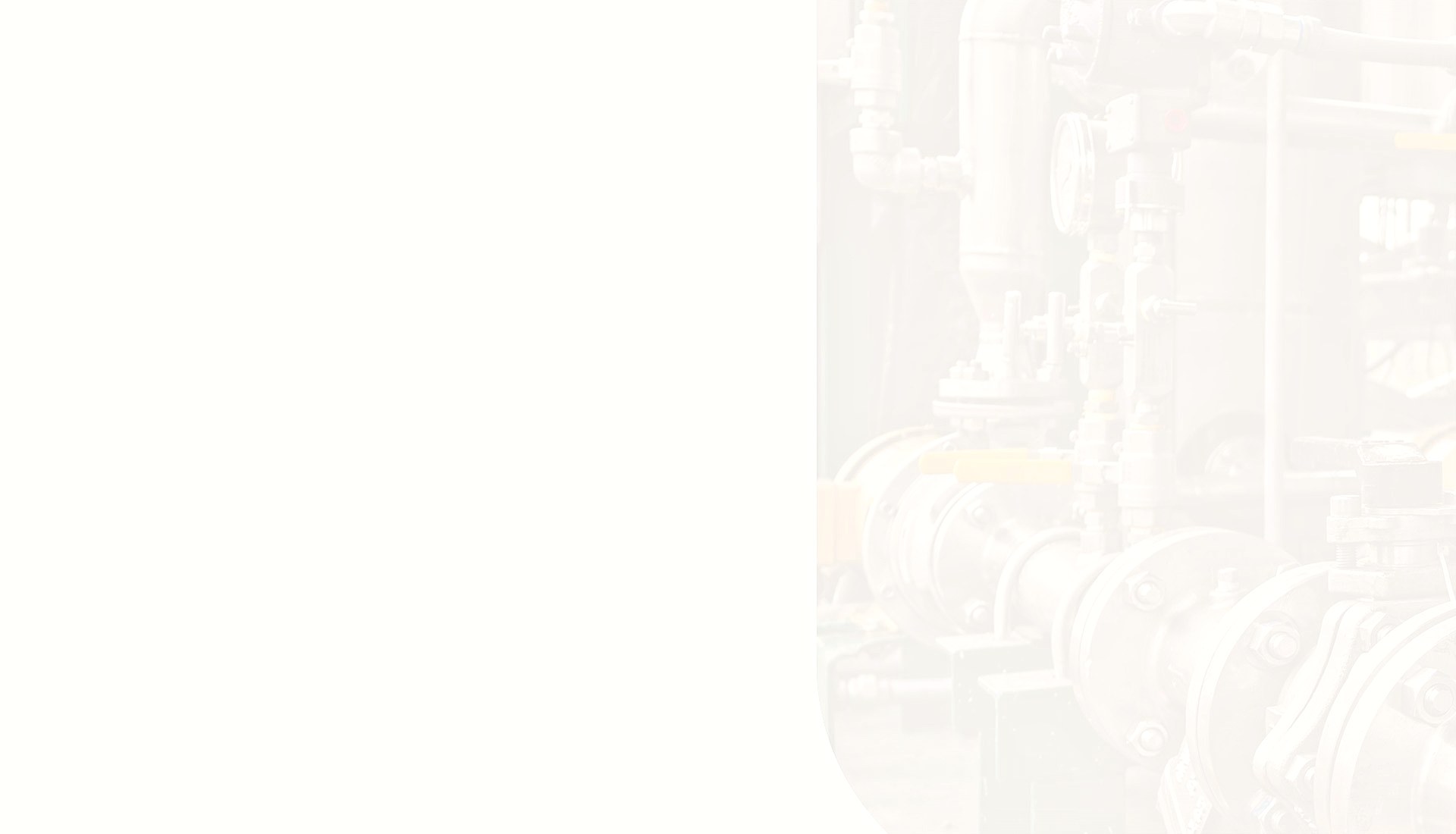 TDS Projects Group